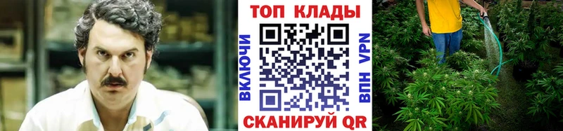 Как найти закладки Порхов Гашиш Конопля Alpha-PVP Меф мяу мяу