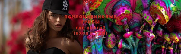 мет Аркадак