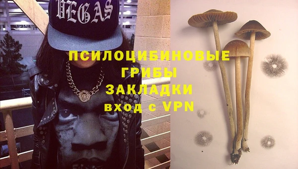 мет Аркадак