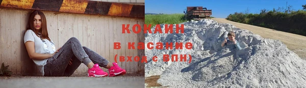 ПСИЛОЦИБИНОВЫЕ ГРИБЫ Осташков
