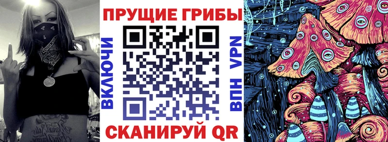 Псилоцибиновые грибы Psilocybe  как найти закладки  Порхов 